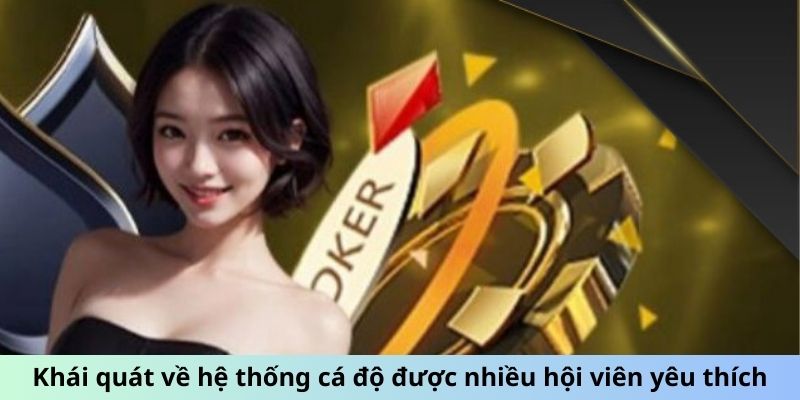 Khái quát về hệ thống cá độ được nhiều hội viên yêu thích